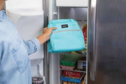 Hampton Lunch Tote Bag