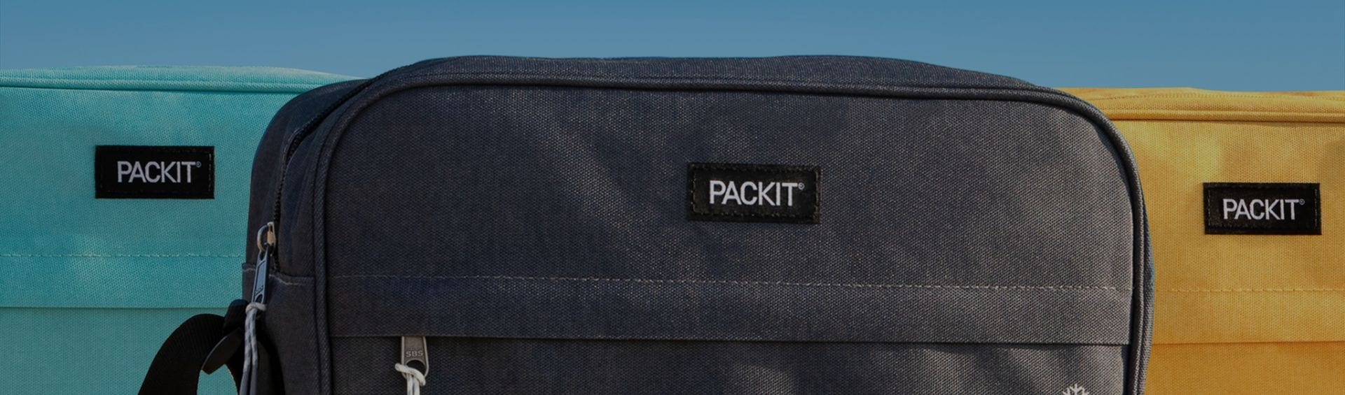 collapsible cooler bag