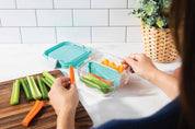 MOD Bento Snack Container