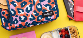 PackIt's Lunch Box Buying Guide