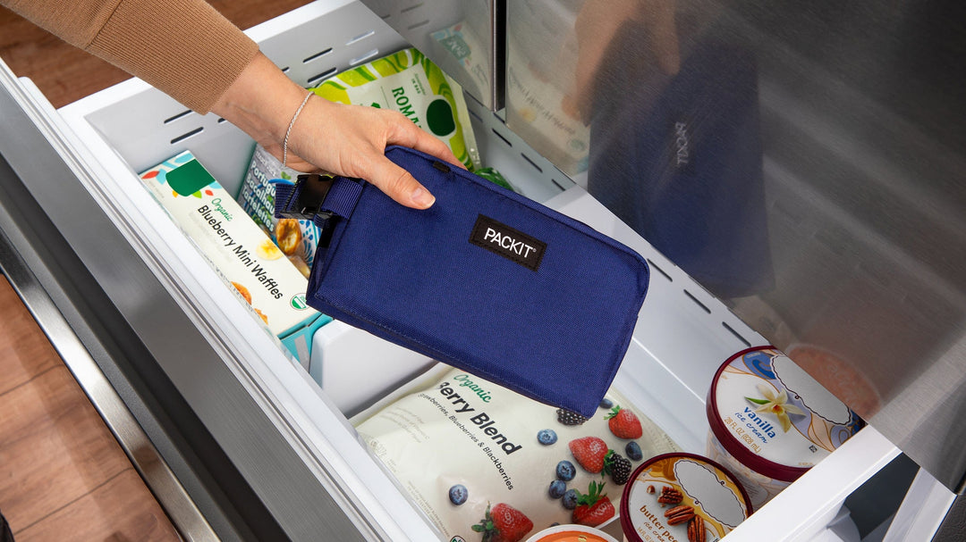 Freezable Snack Box - PackIt
