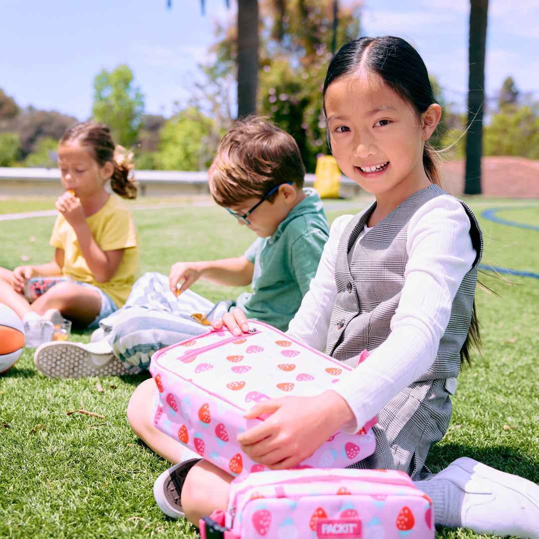 Freezable Classic Lunch Box
