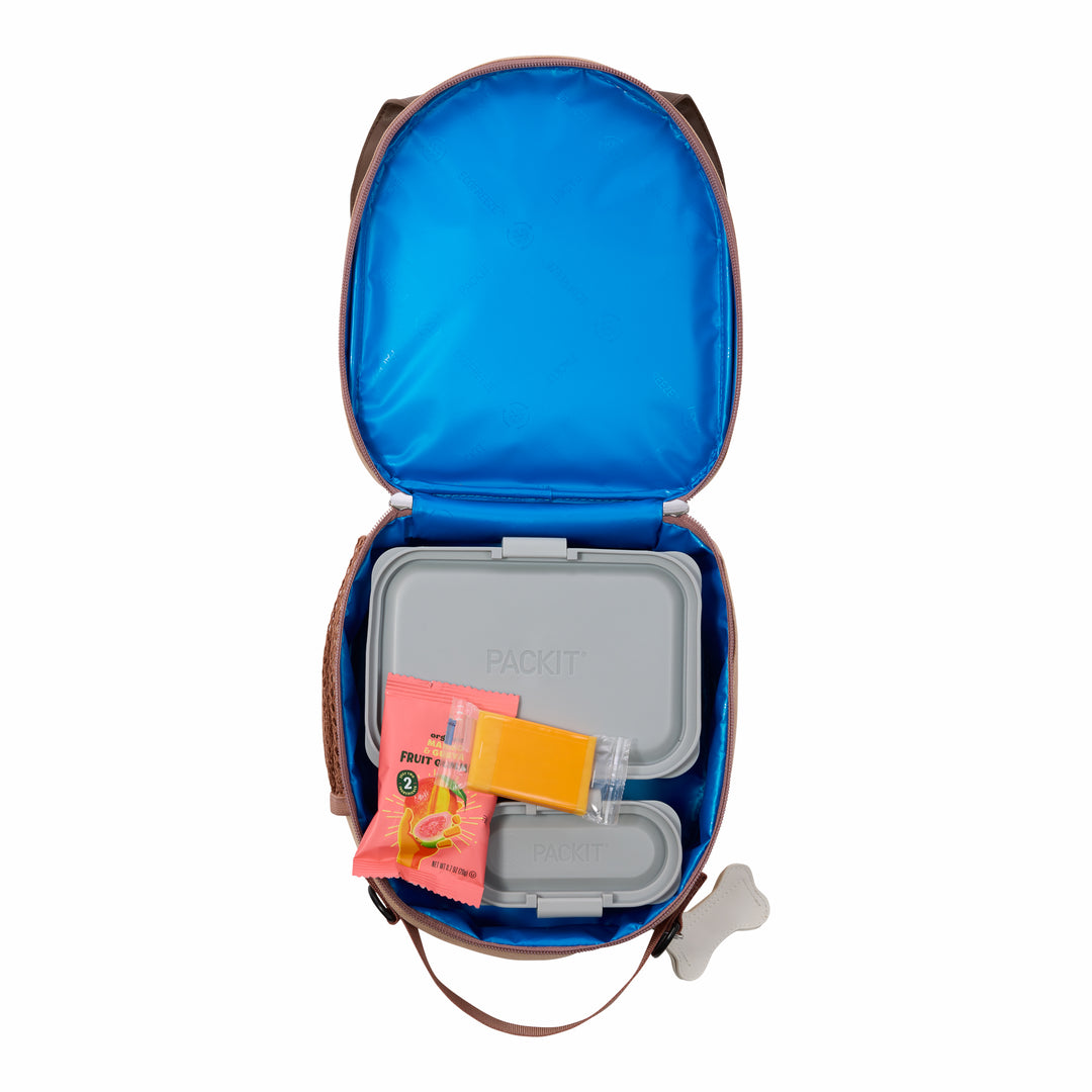 Freezable Friends Lunch Box