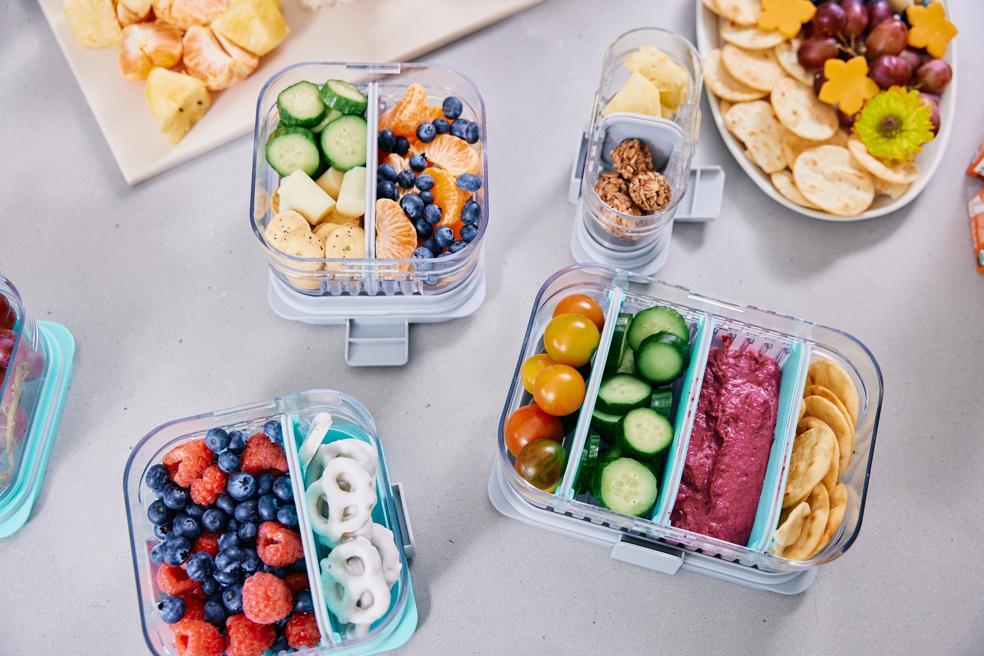Mod Lunch Bento, Mint Mod Lunch Bento, Mint
