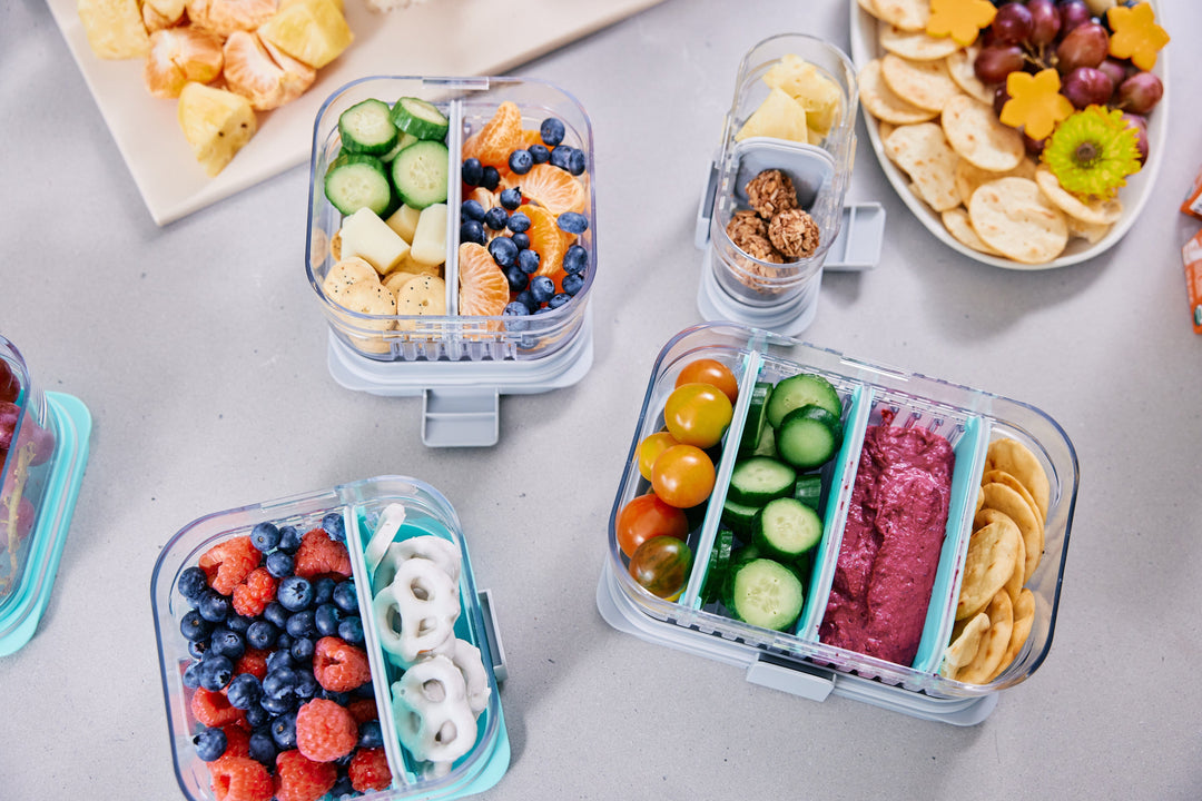 MOD Bento Lunch Container - PackIt