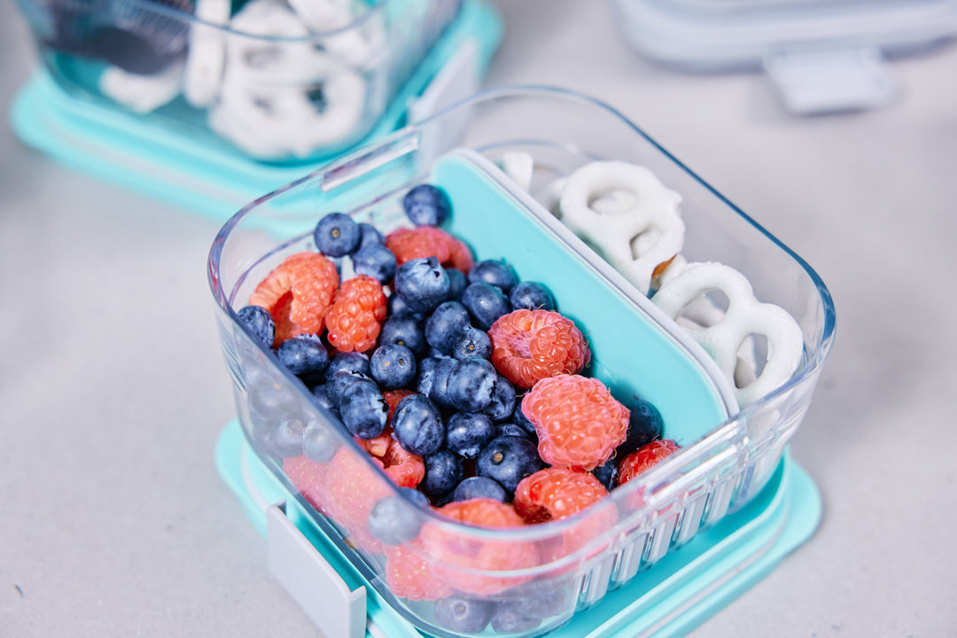 MOD Bento Snack Container - PackIt
