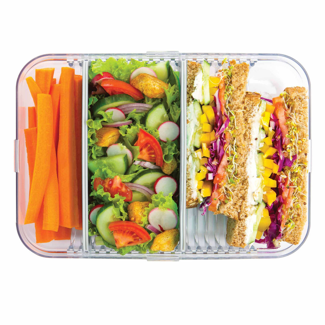 MOD Bento Large Container - PackIt