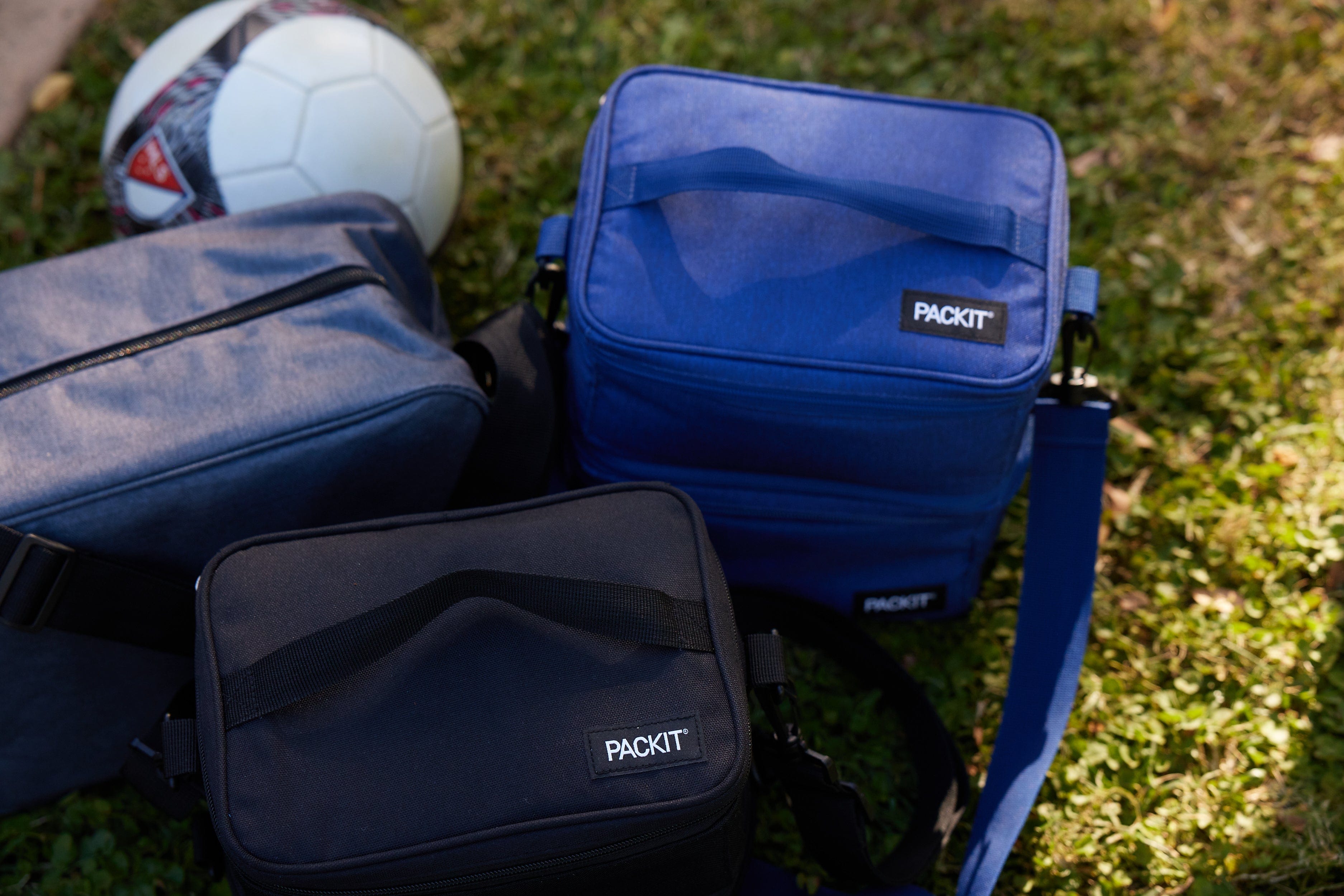 PicnicStandard-02416.jpg