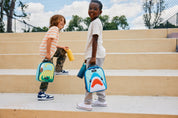 Freezable Playtime Lunch Box