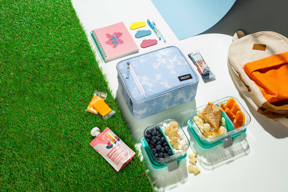 Freezable Snack Box  Purchase an EcoFreeze Snack Box & Container Online -  PackIt