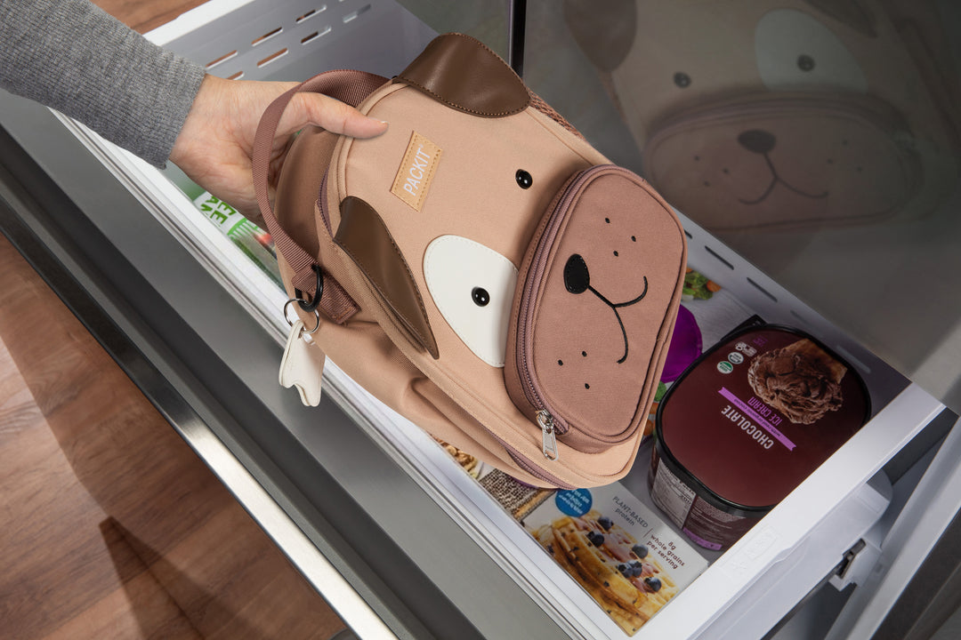 Freezable Friends Lunch Box
