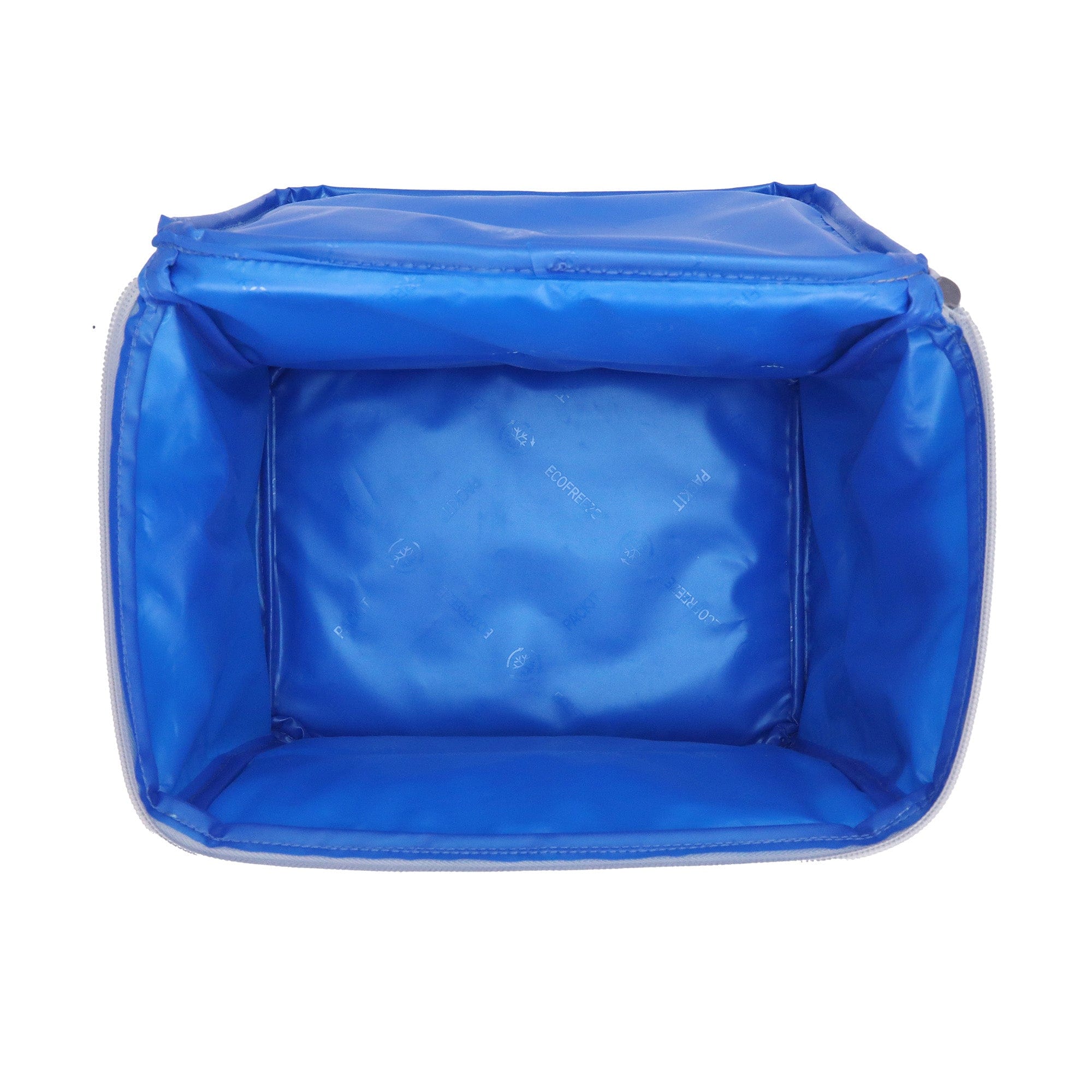 Freezable Lunch Cooler