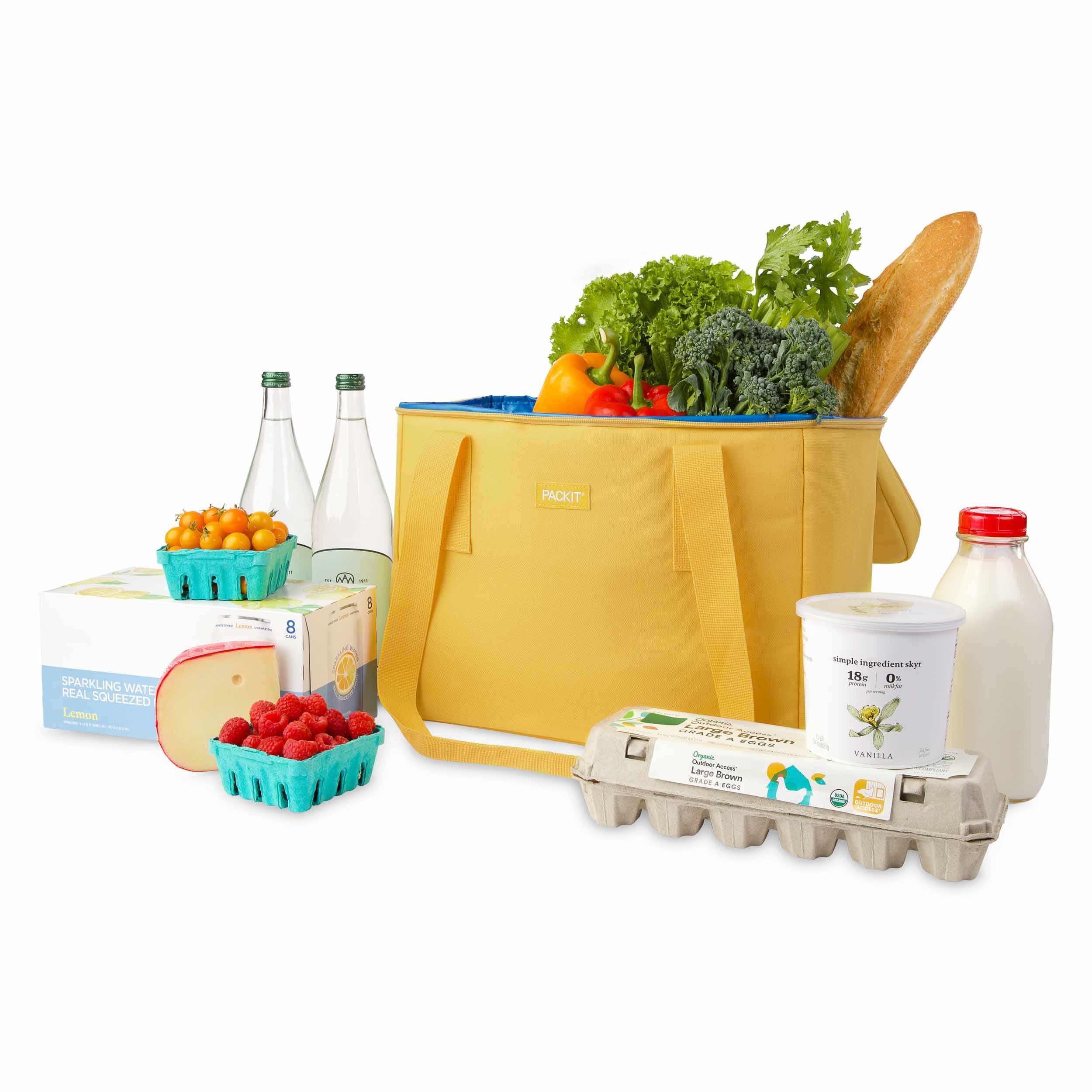 Freezable Market Tote