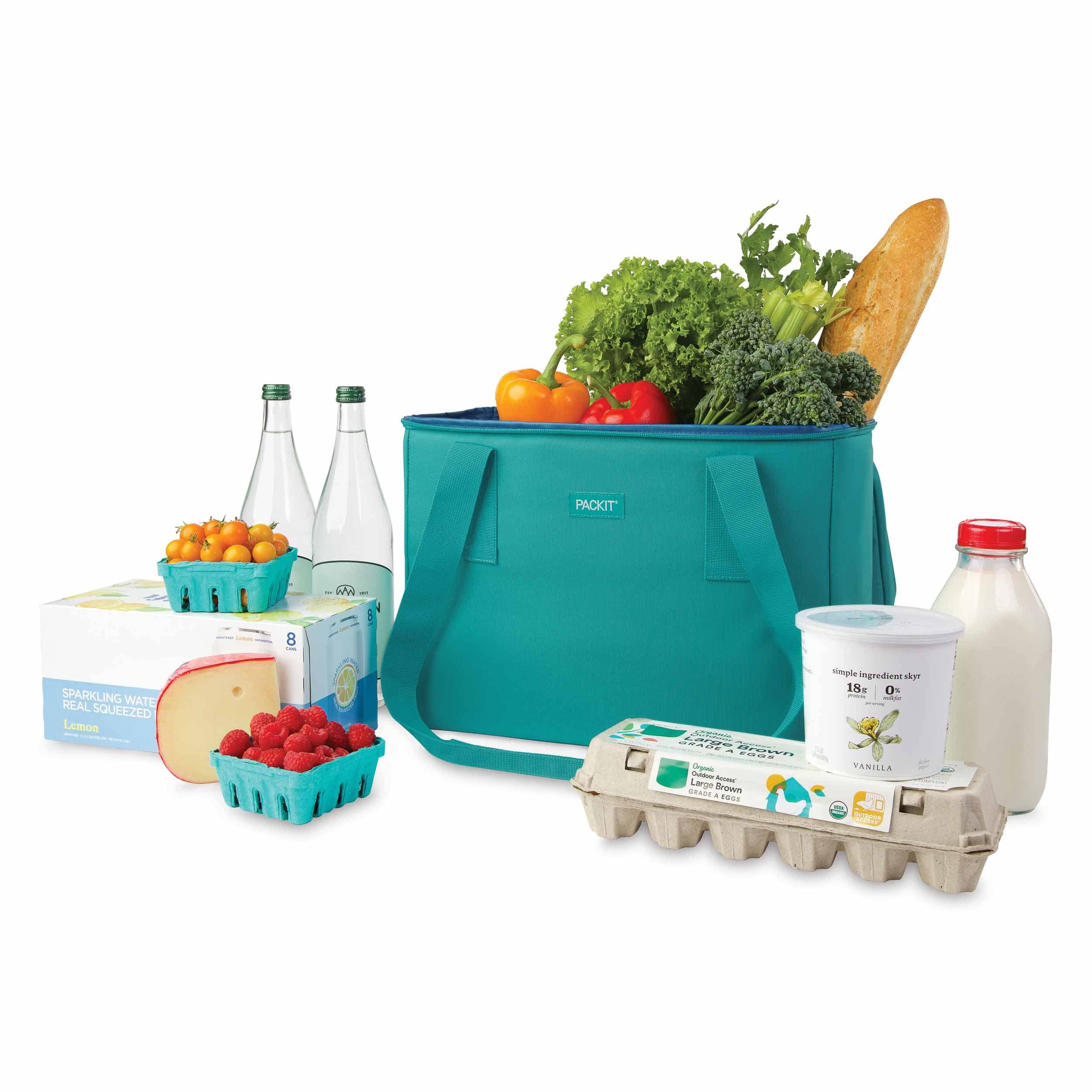 Freezable Market Tote