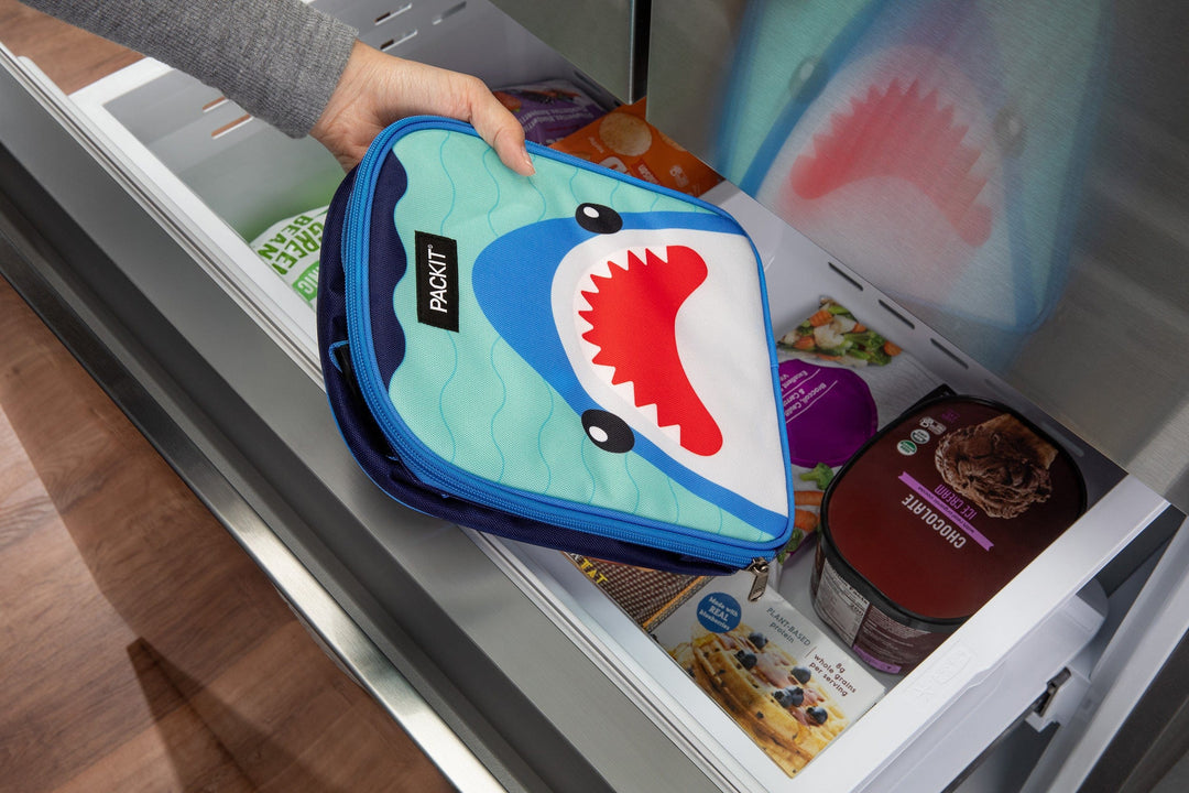 Freezable Playtime Lunch Box - PackIt