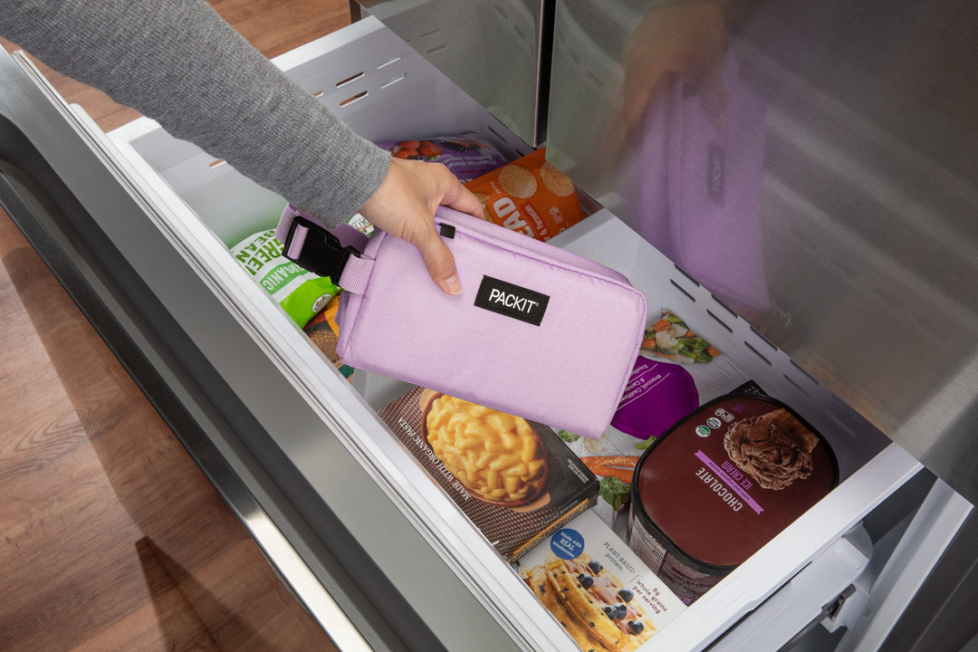 Freezable Snack Box - PackIt