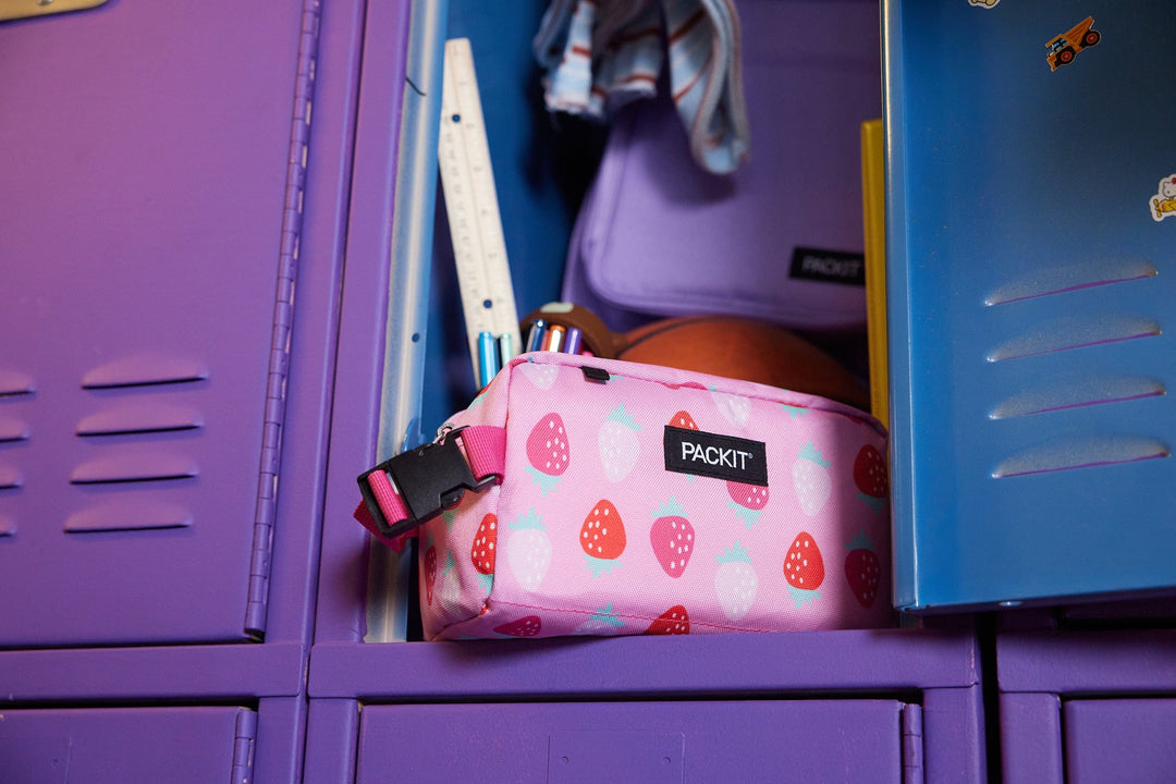 Freezable Snack Box - PackIt