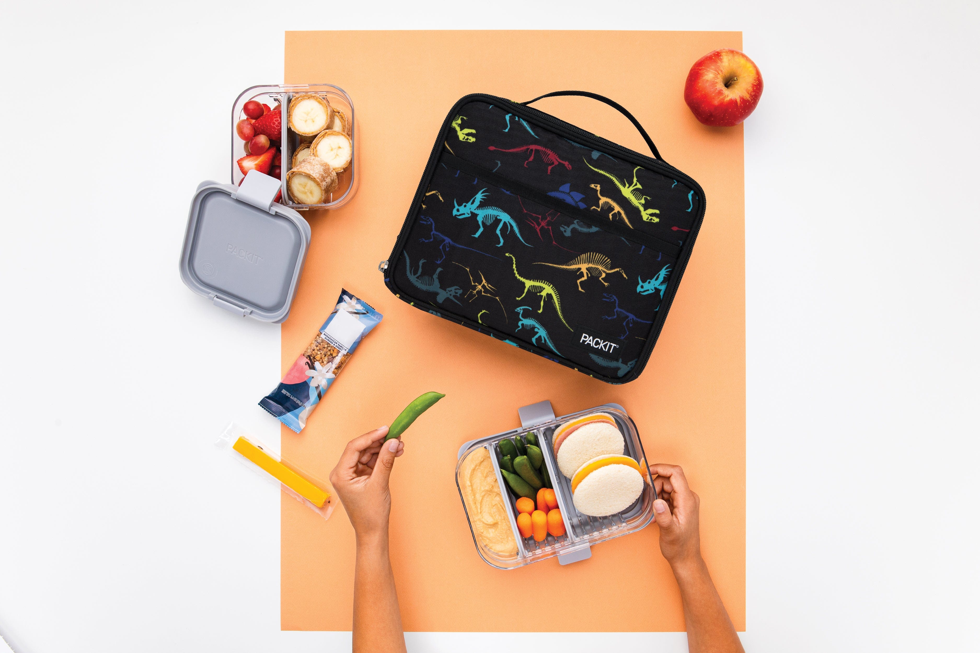 Freezable Lunch Box - Limited Edition