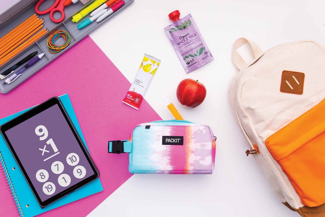 Freezable Snack Box - PackIt